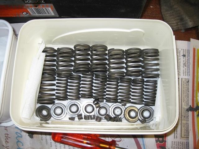 CleanedSpringsReatainers